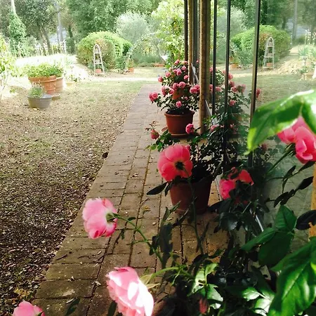 Holiday home Podere Il Lampo